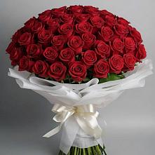 Букет 101 Красная роза Блэк Мэджик в Ищёрской