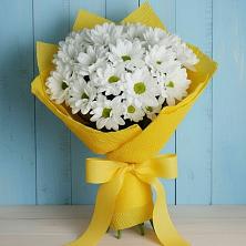 Букет цветов из:  Хризантемы в Ищёрской