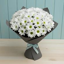Букет цветов из:  Хризантемы в Ищёрской