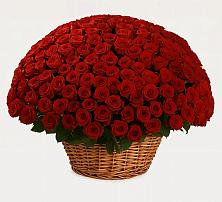 Премиум букет из: Розы в Ищёрской